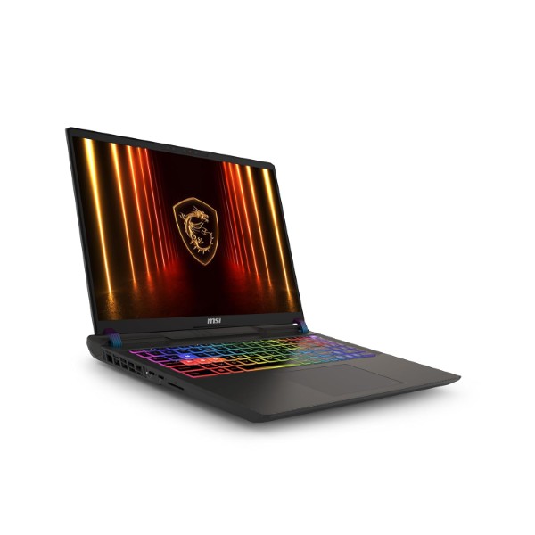 MSI Vector 16, Intel Series 2 Core Ultra 7 255HX, 41cm QHD+ 240Hz Gaming Laptop (16GB/1TB NVMe SSD/Windows 11 Home/NVIDIA GeForce RTX 5070 Ti, GDDR7 12GB/Cosmos Gray/2.7Kg) A2XWHG-443IN